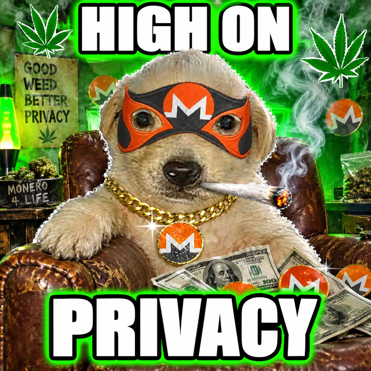 High on privacy. Perro relaxing in a green room